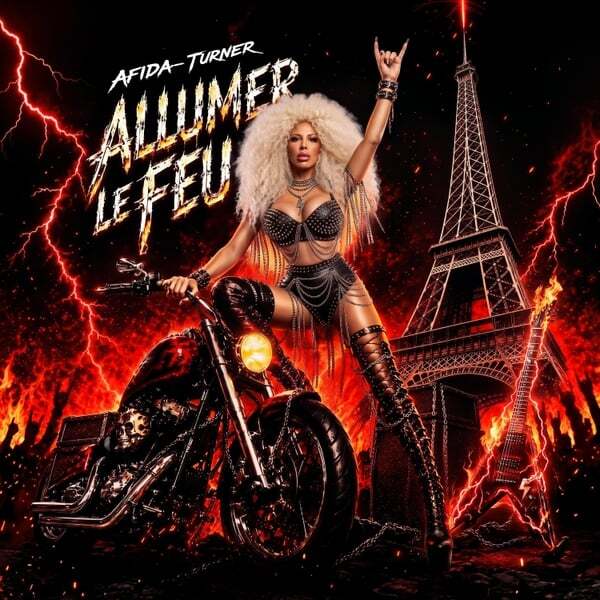 Cover art for Allumer le feu